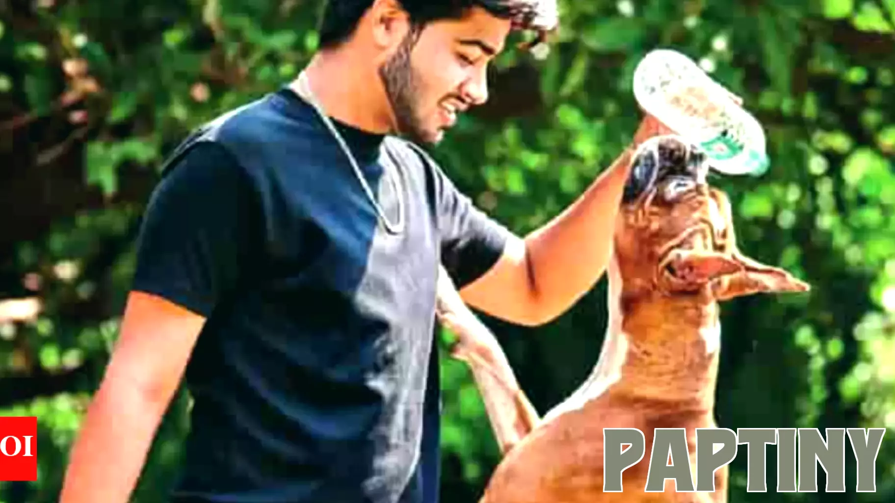 Exotic Dog Breeds in Hyderabad: The Need for Positive Parenting