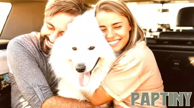 Changing Dynamics: Pets as Children in Modern Families